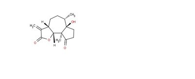 Coronopilin.jpg